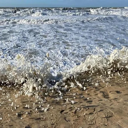 In Mariakerke With Stunning Sea Views Lejlighed